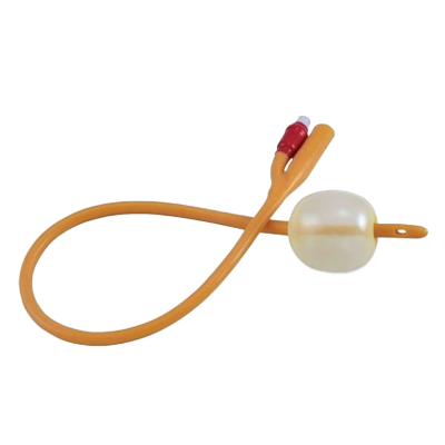 Sonda Foley - Distrimedh